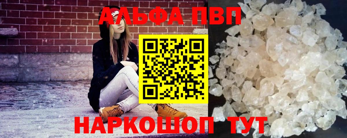 Alfa_PVP СК Краснознаменск