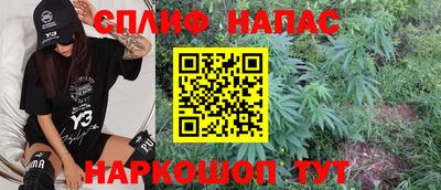 бошки Камышлов