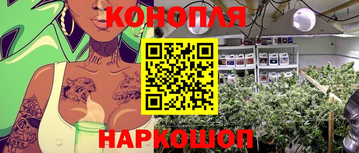 Марихуана индика  Конопля AK-47  Канабис индика  Вход с VPN  Марихуана ГИДРОПОН  Краснознаменск 